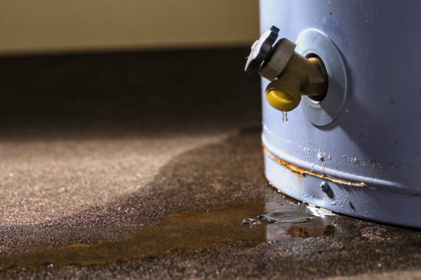 Best Water damage cleanup near me  in Nashvle, IL