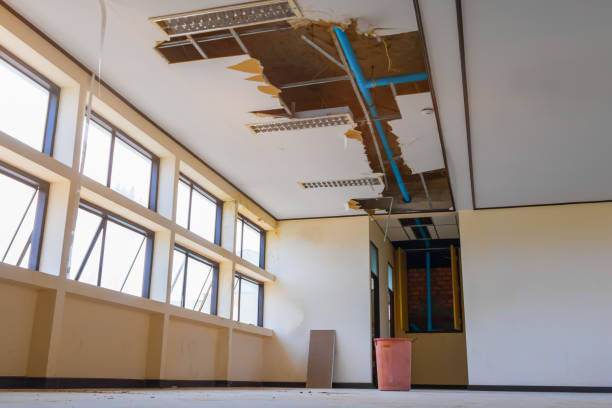 Best Professional water damage repair  in Nashvle, IL