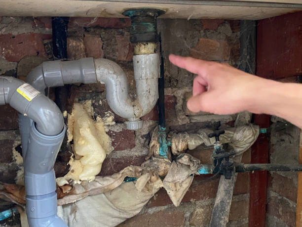 Best Water damage restoration process  in Nashvle, IL