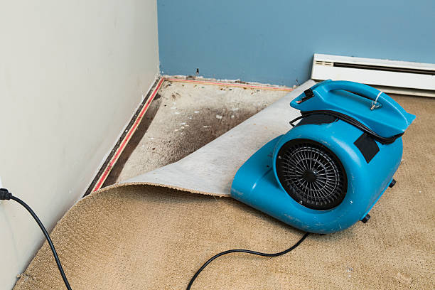 Best Residential water damage restoration  in Nashvle, IL